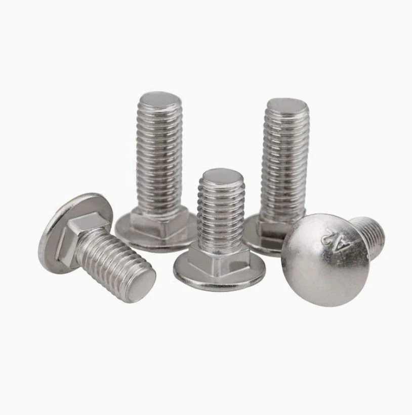 Stainless Steel 304 Carriage Bolts DIN603 suppliers