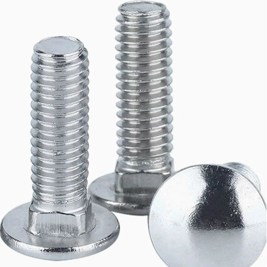 Stainless Steel 304 Carriage Bolts DIN603 best