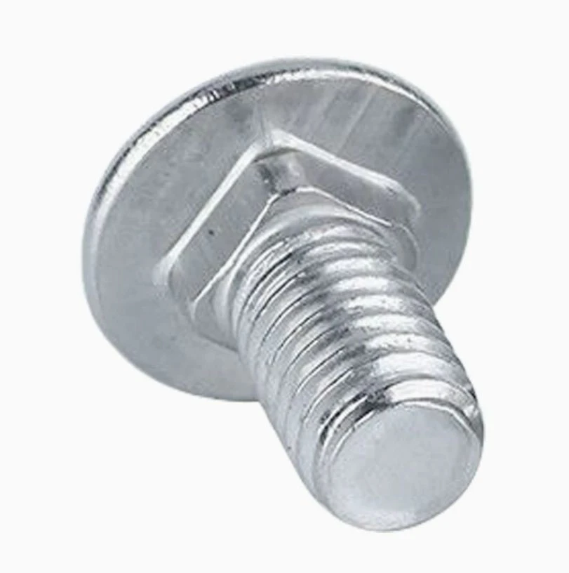 Stainless Steel 304 Carriage Bolts DIN603 factory
