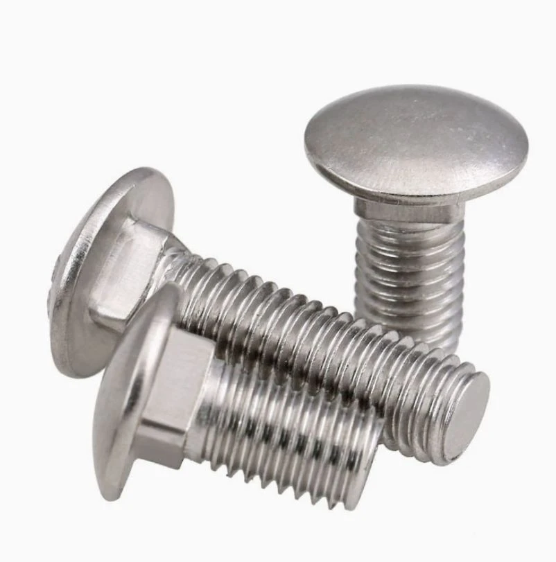 Stainless Steel 304 Carriage Bolts DIN603 high quality